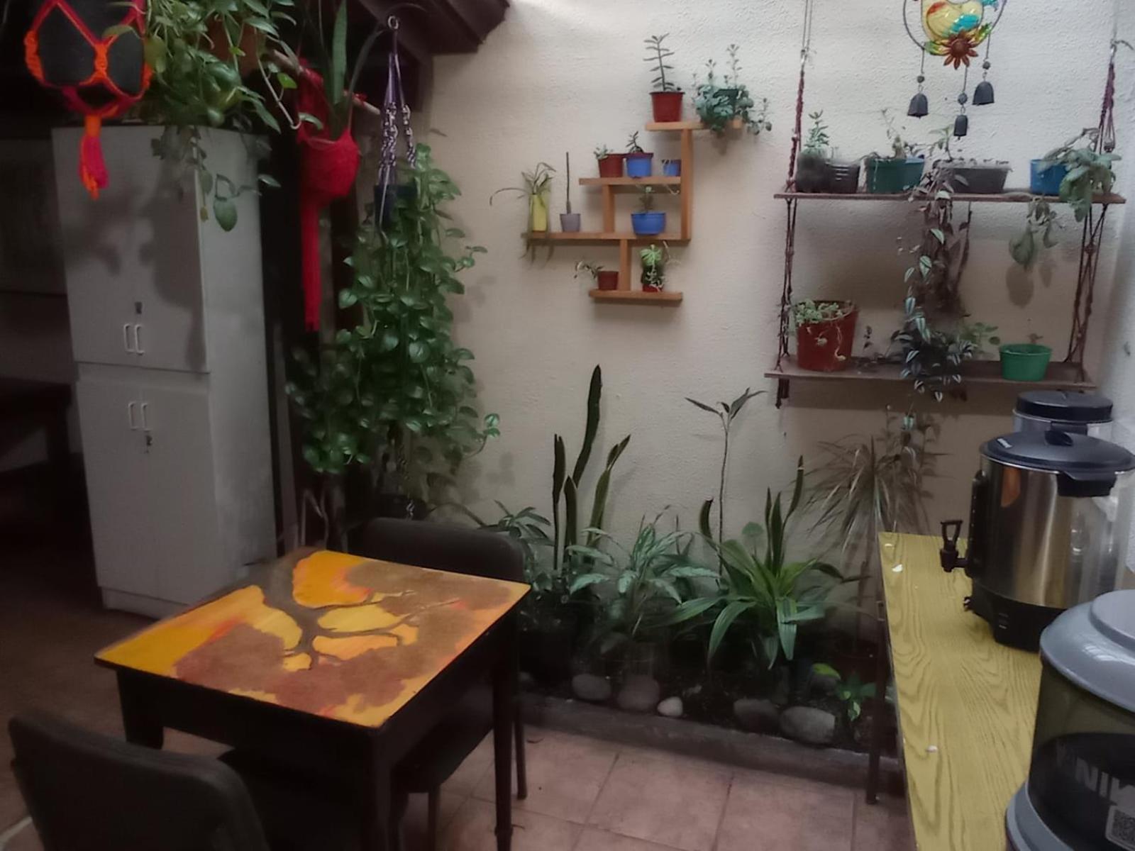 Hostel Casa Ridgway San José Eksteriør billede
